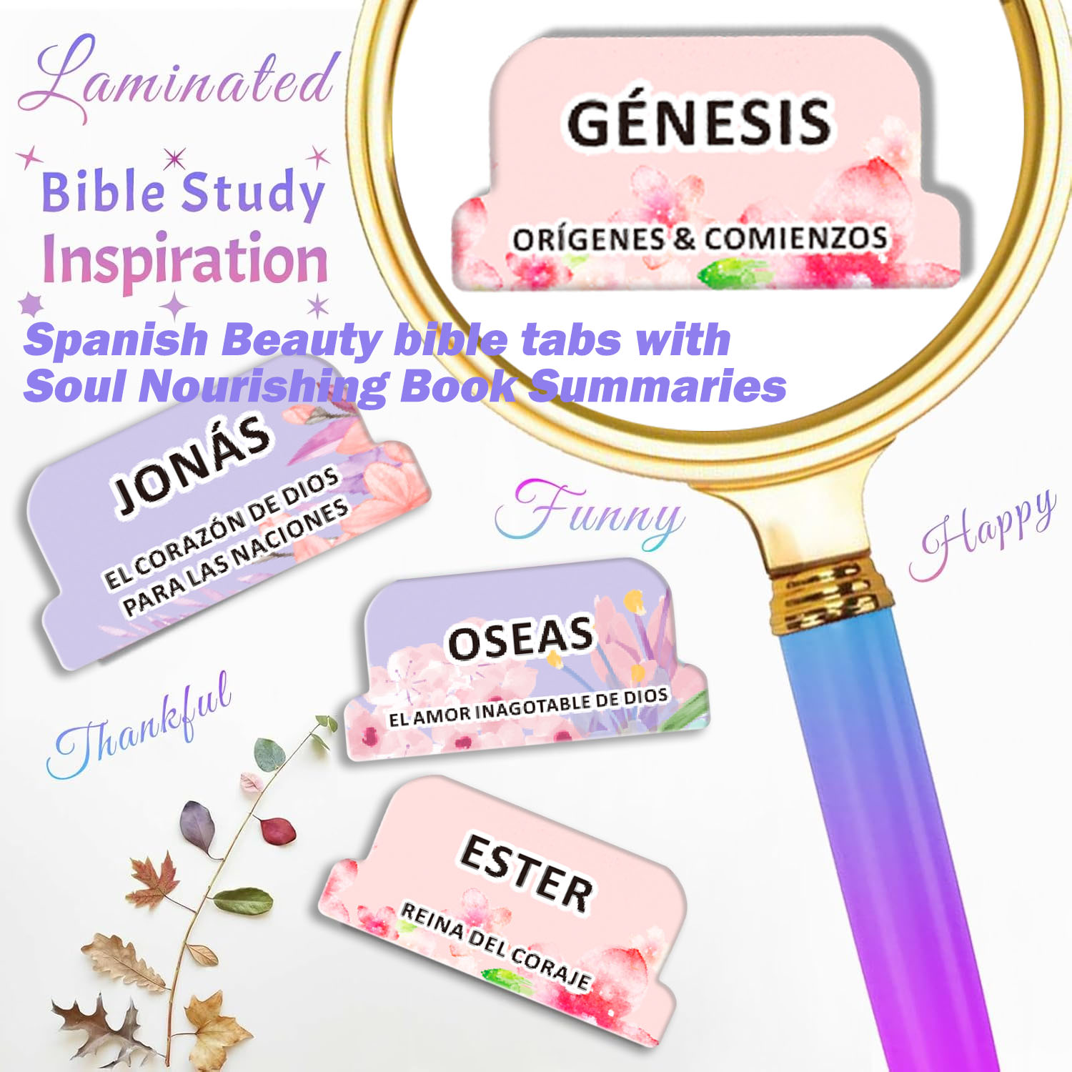 Onglets de Bible espagnols, 80 - Index Tab Divider avis et prix
