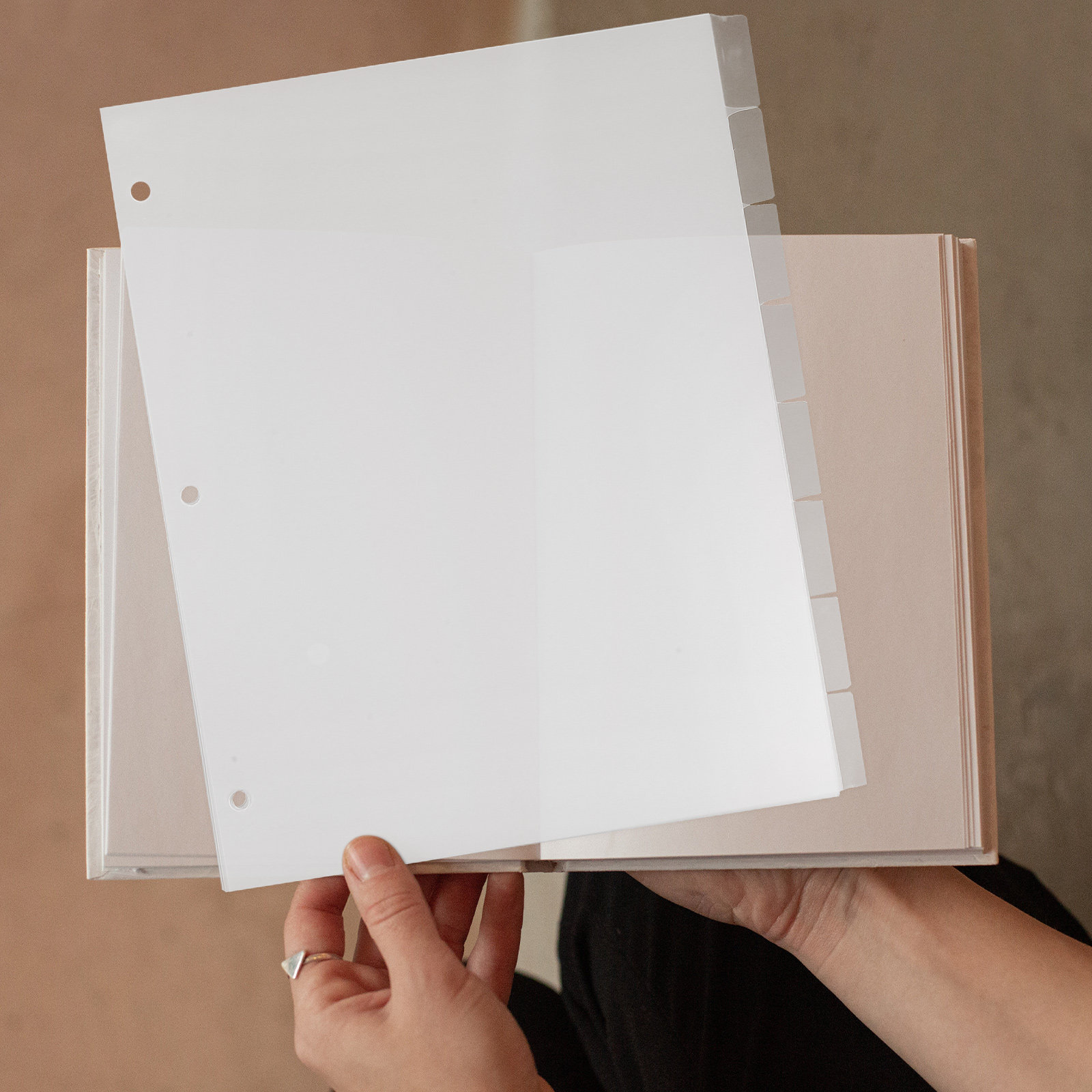 8 Feuilles de Diviseurs d'Inde - Index Tab Divider avis et prix